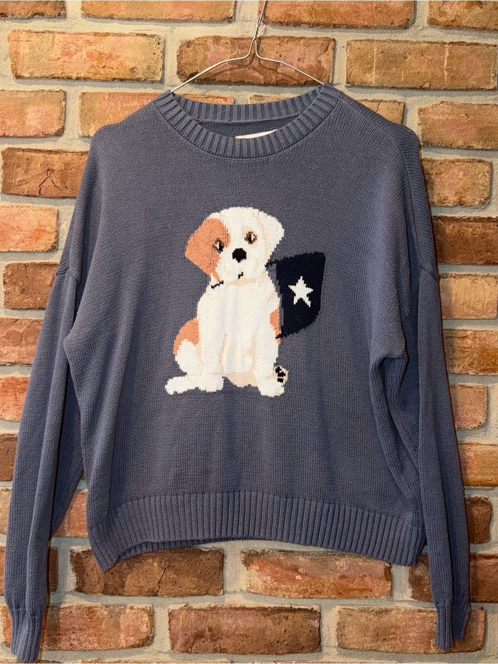 Hollister Puppy Flag Sweater size XS - Picture 2 of 5